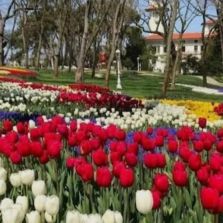 An Tale, An Dream, Bosphorus Two 2